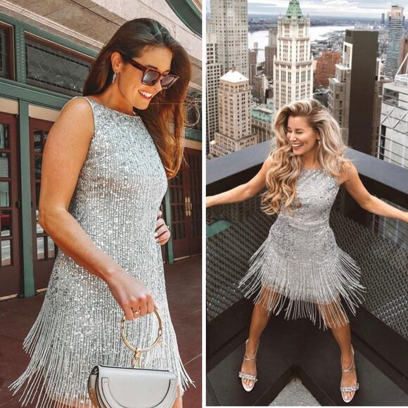 NWT Adrianna Papell Dress 4P Sequin Beaded Fringe Metallic Silver Cocktail Party - Picture 1 of 16